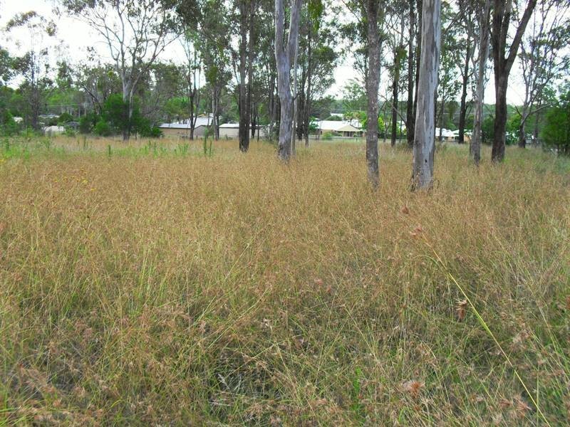 33 Home Street, Nanango QLD 4615