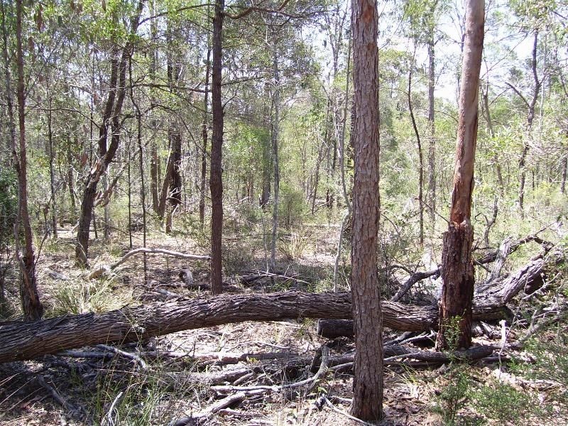 L6 Tom Smith Drive, Nanango QLD 4615