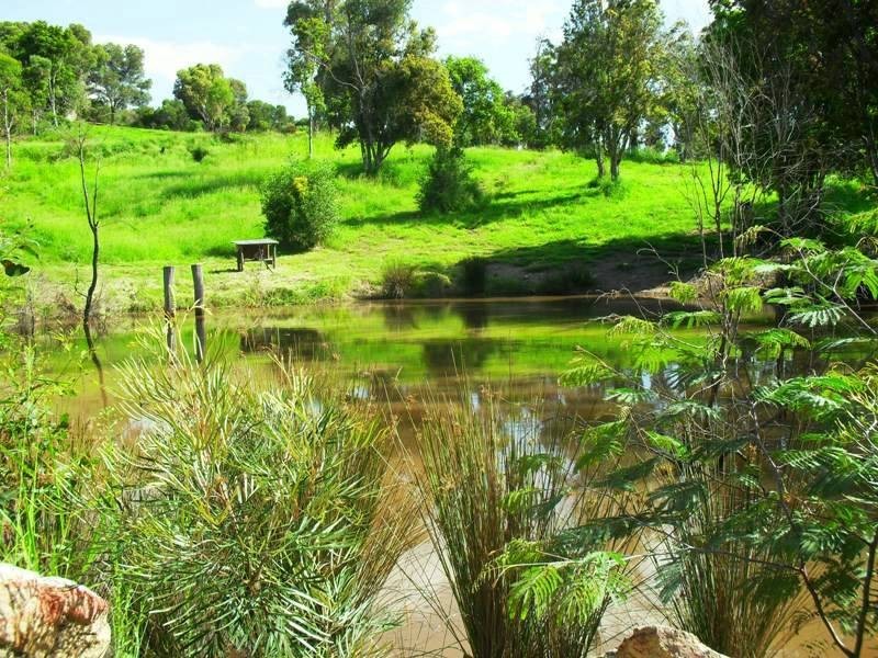 87 Tom Smith Drive, Nanango QLD 4615