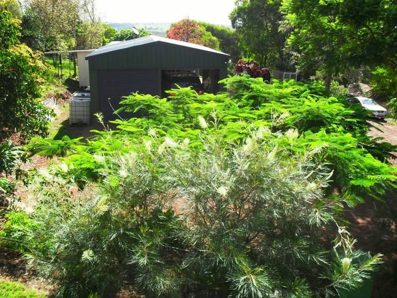 87 Tom Smith Drive, Nanango QLD 4615