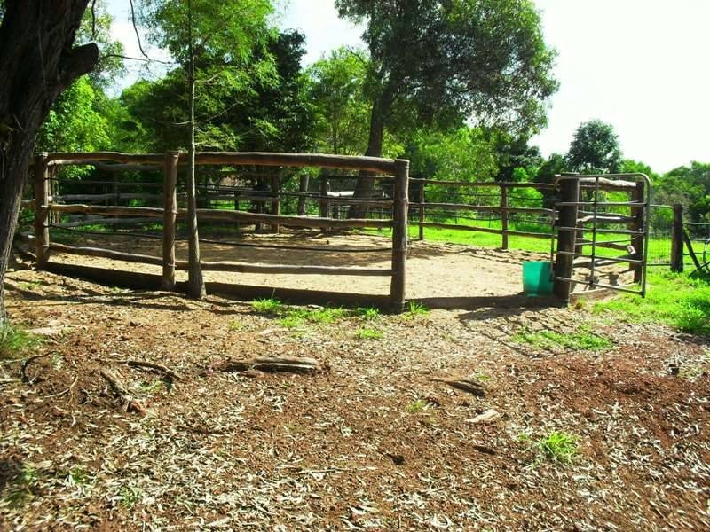 87 Tom Smith Drive, Nanango QLD 4615