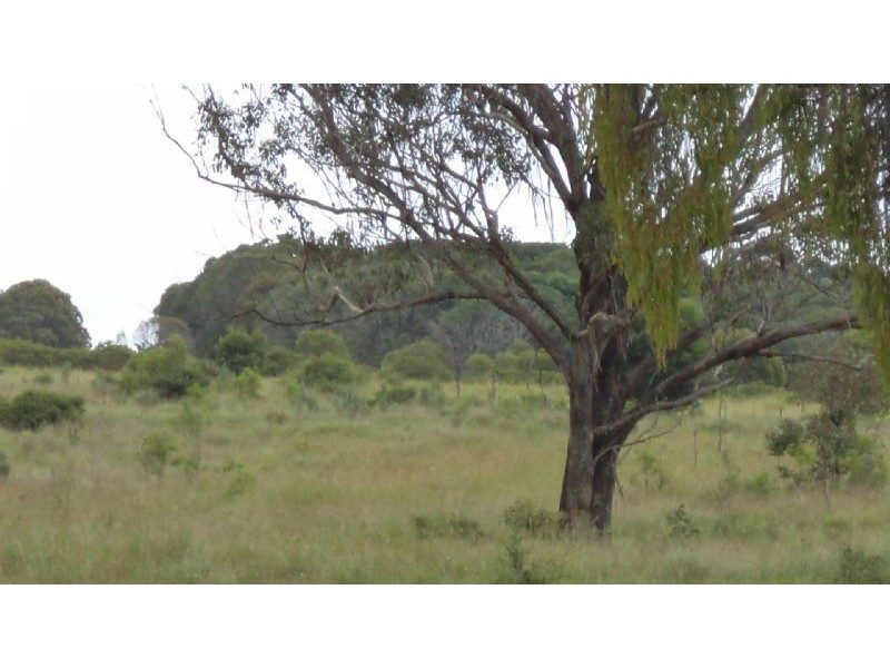 Kingaroy QLD 4610