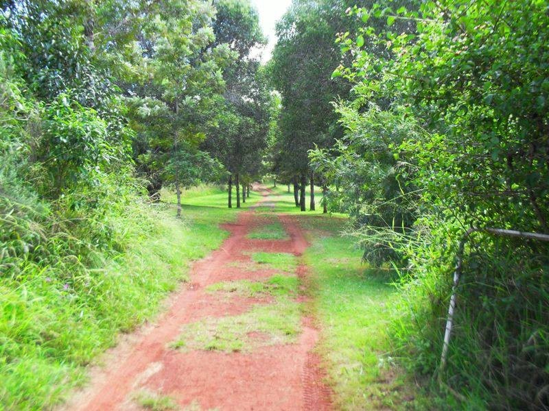 46 Bucklands Road, Nanango QLD 4615