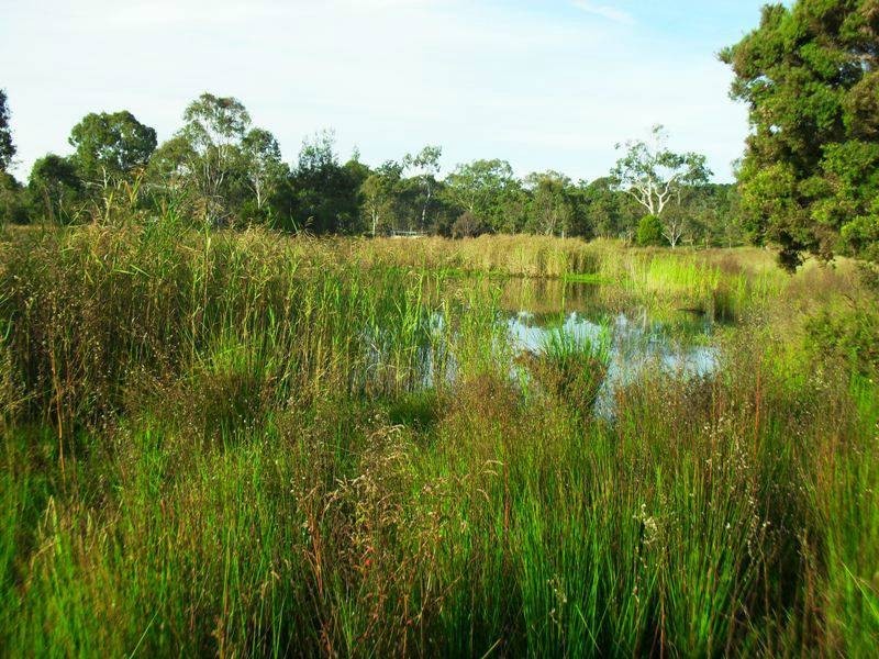 22 Grey Street, Nanango QLD 4615