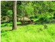 405 Hamilton Road, Nanango QLD 4615