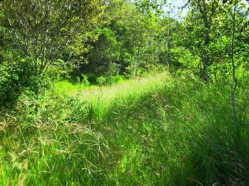 405 Hamilton Road, Nanango QLD 4615