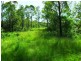 405 Hamilton Road, Nanango QLD 4615