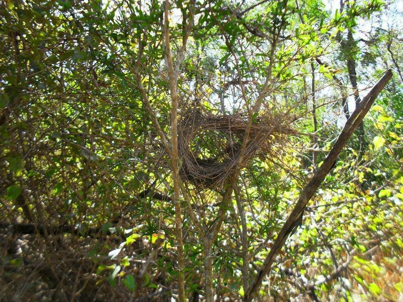 371 Old Esk North Road, Nanango QLD 4615