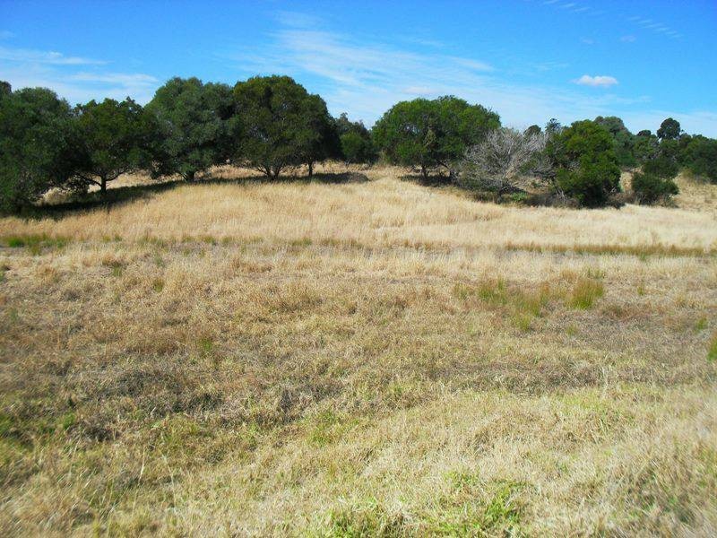 347 Izzard Road, Nanango QLD 4615