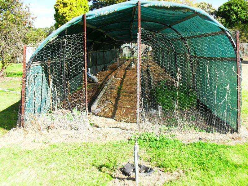 347 Izzard Road, Nanango QLD 4615