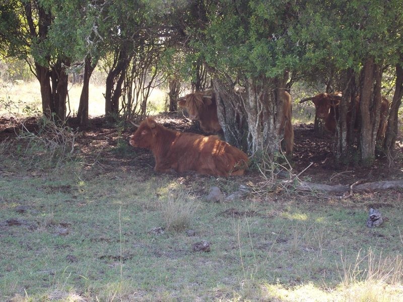Lot 44 Copper Creek Road, Nanango QLD 4615