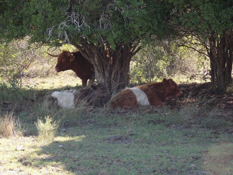 Lot 44 Copper Creek Road, Nanango QLD 4615