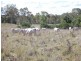 Lot 44 Copper Creek Road, Nanango QLD 4615