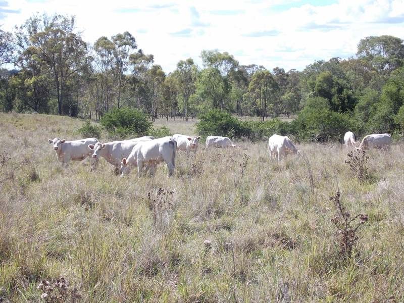 Lot 44 Copper Creek Road, Nanango QLD 4615