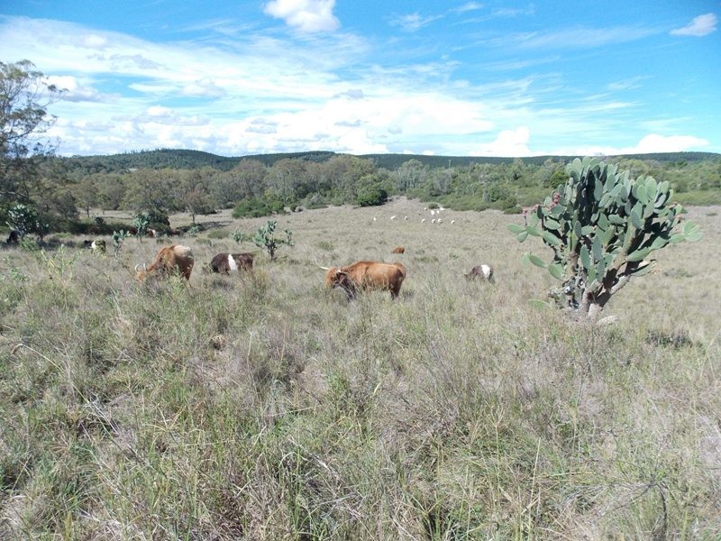 Lot 44 Copper Creek Road, Nanango QLD 4615
