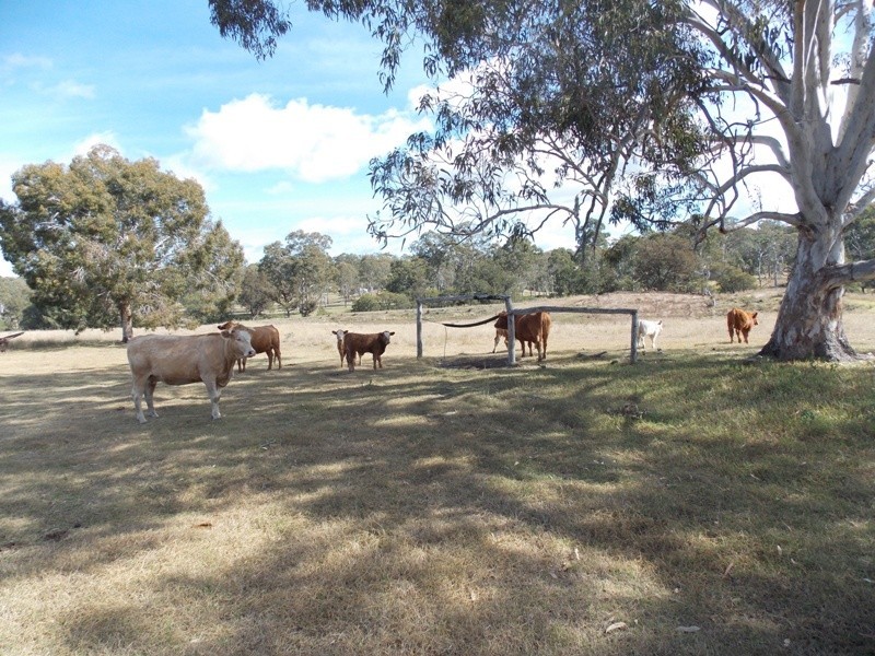 Lot 49 Maidenwell Upper Yarraman Road, Maidenwell QLD 4615