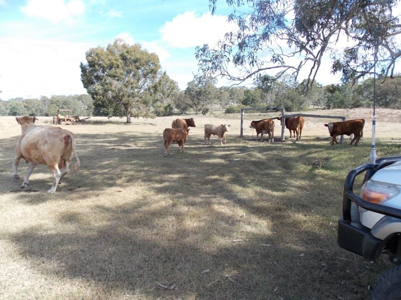 Lot 49 Maidenwell Upper Yarraman Road, Maidenwell QLD 4615
