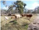 Lot 49 Maidenwell Upper Yarraman Road, Maidenwell QLD 4615