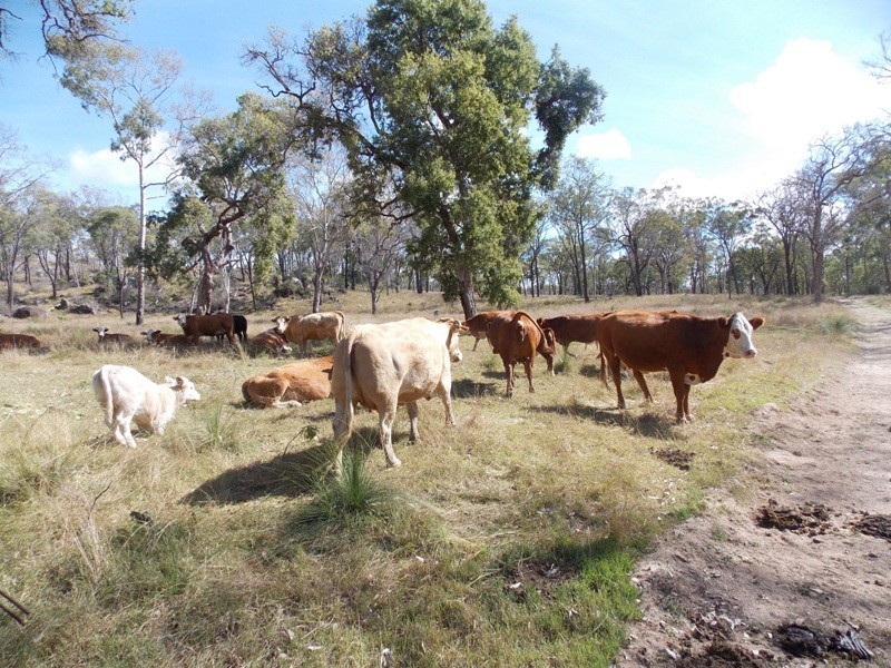 Lot 49 Maidenwell Upper Yarraman Road, Maidenwell QLD 4615