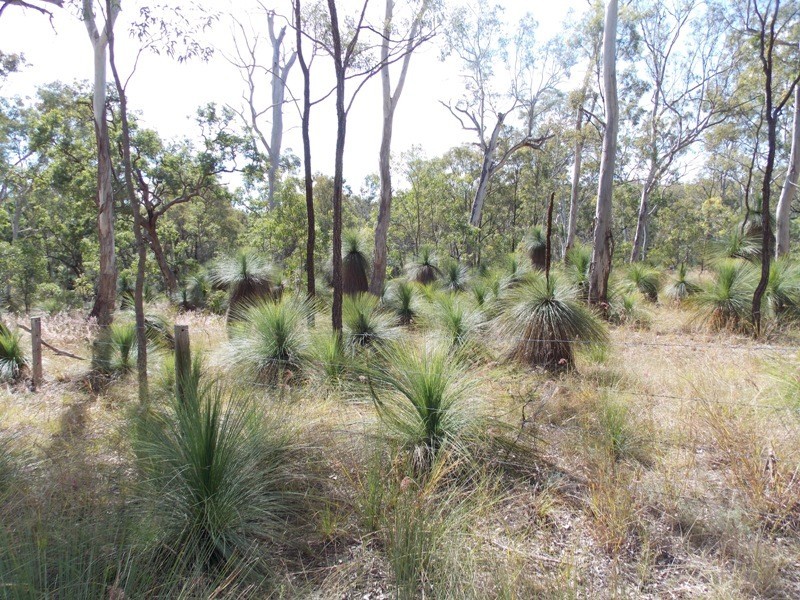 Lot 49 Maidenwell Upper Yarraman Road, Maidenwell QLD 4615