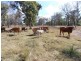 Lot 49 Maidenwell Upper Yarraman Road, Maidenwell QLD 4615