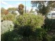 36 Elk Street, Nanango QLD 4615