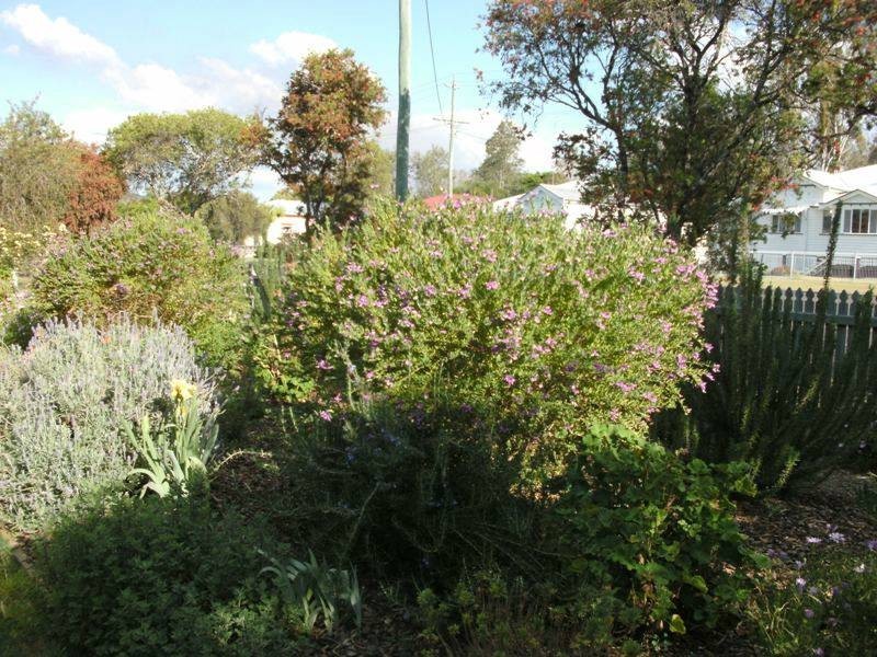 36 Elk Street, Nanango QLD 4615
