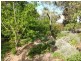36 Elk Street, Nanango QLD 4615