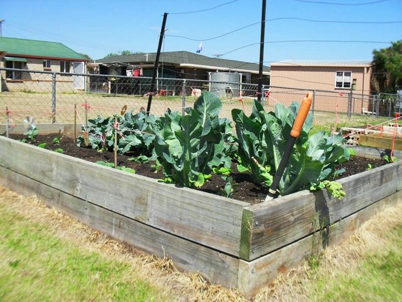 7 Hawthorne Street, Nanango QLD 4615