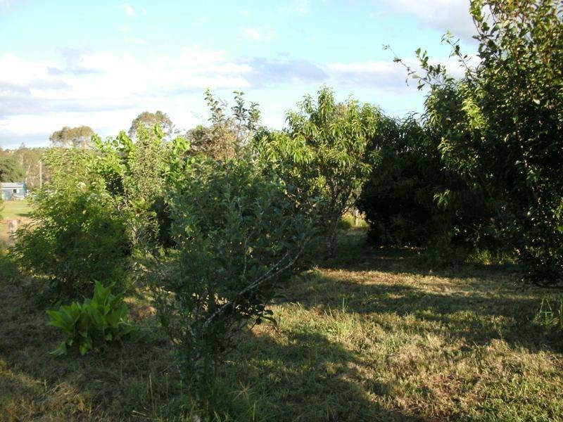 60 Grey Street, Nanango QLD 4615