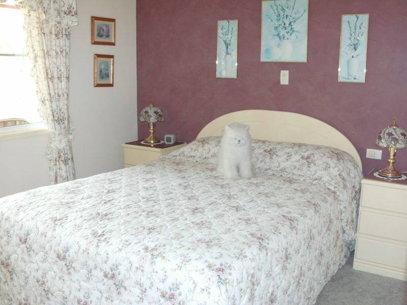 254 Carbeen Crescent, Nanango QLD 4615