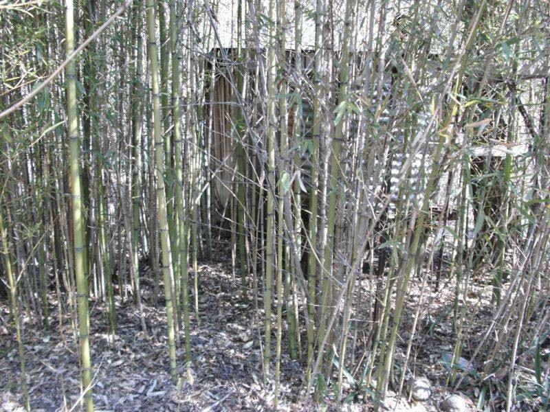 L18 Mt Stanley Road, Nanango QLD 4615