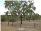 709 Old Esk North Road, Nanango QLD 4615