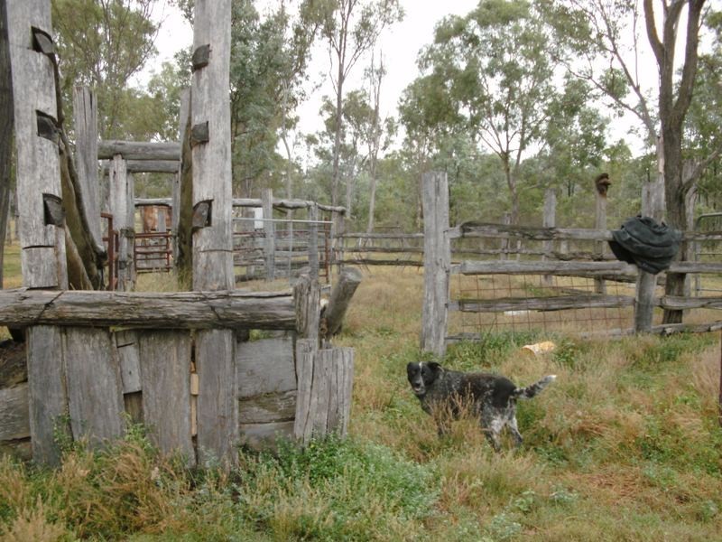 10 Golf View Drive, Nanango QLD 4615
