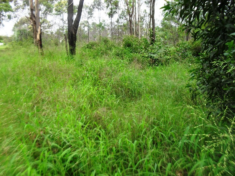 43 Faulkners Road, Nanango QLD 4615