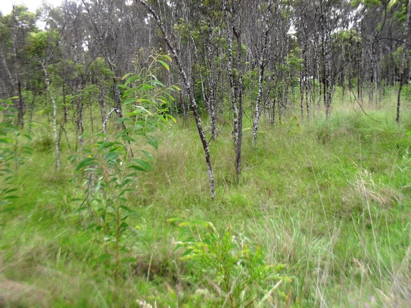 43 Faulkners Road, Nanango QLD 4615