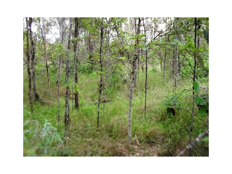 43 Faulkners Road, Nanango QLD 4615
