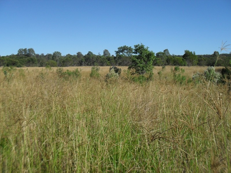 256 Old Yarraman Road, Nanango QLD 4615