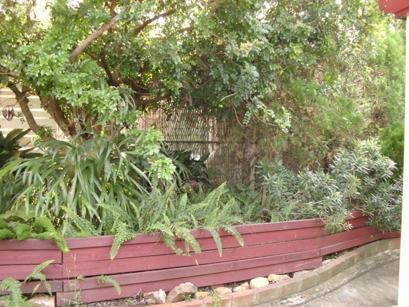 61 Wickham Street, Nanango QLD 4615