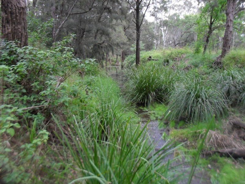 233 Malar Crescent, Nanango QLD 4615