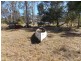 58 Golf View Drive, Nanango QLD 4615