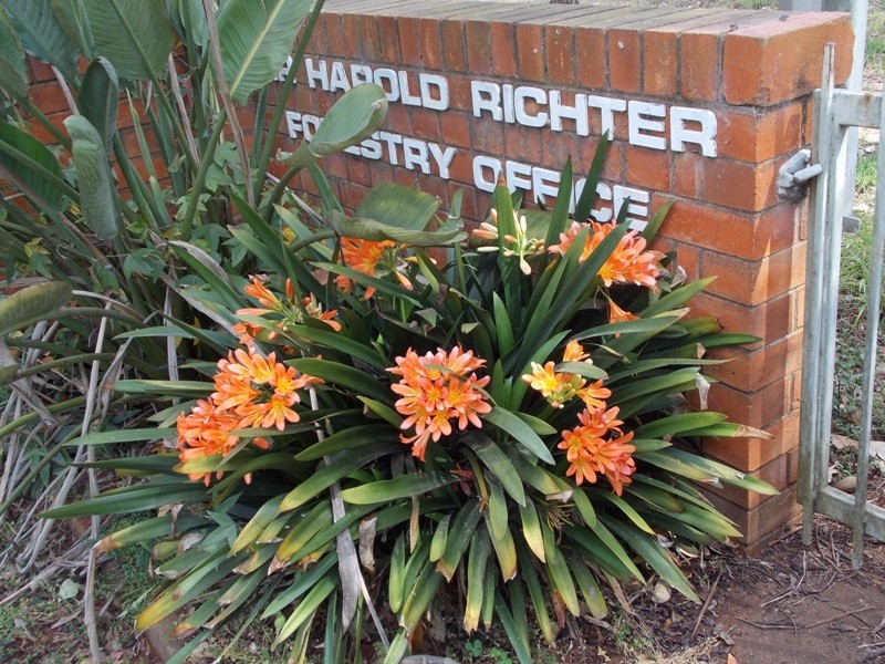 L505 Mill Street, Yarraman QLD 4614