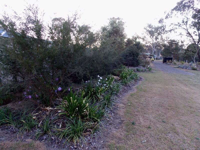 31 McGinley Road, Nanango QLD 4615