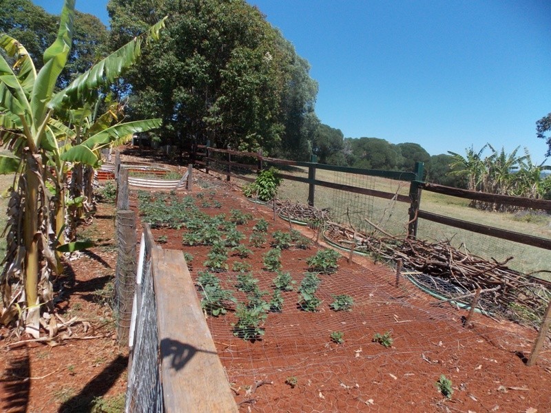 432 Hazeldean Road, Nanango QLD 4615