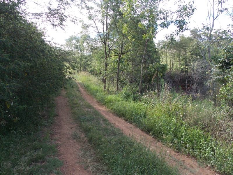 16 Hicken Way, Nanango QLD 4615