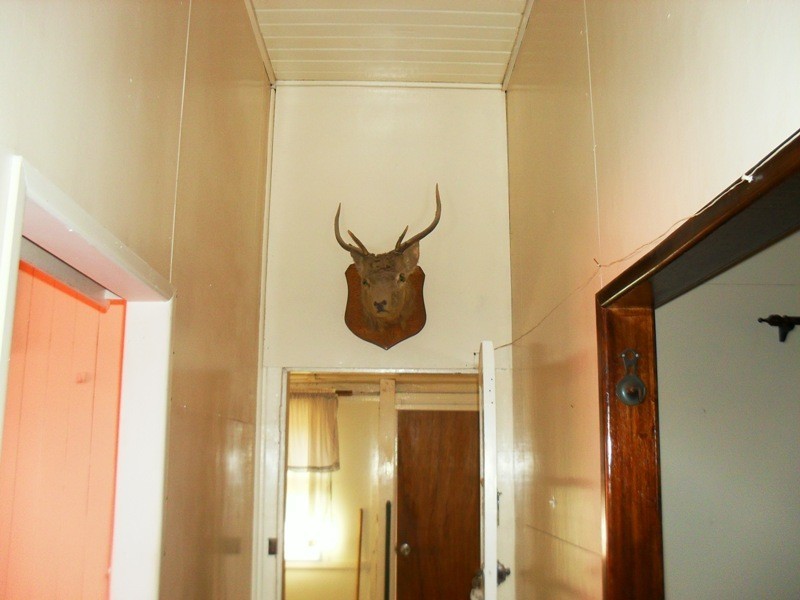 22 Douglas Street, Yarraman QLD 4614