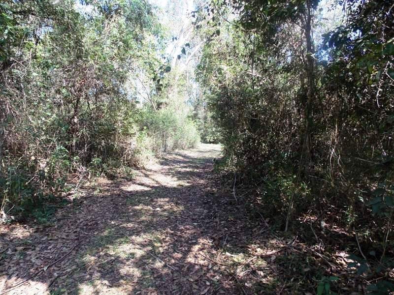 65 Calvert Road, Nanango QLD 4615