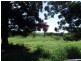 254 McAuliffes Road, Nanango QLD 4615