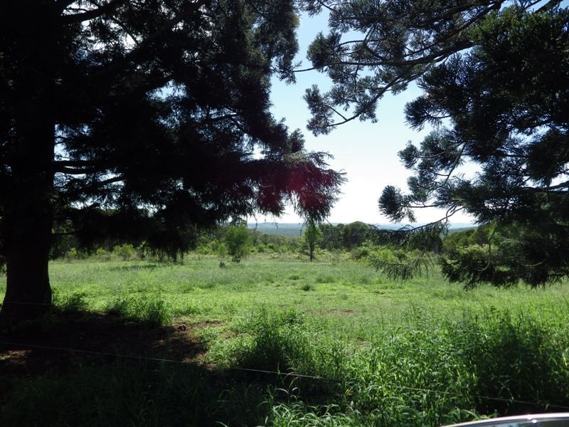 254 McAuliffes Road, Nanango QLD 4615