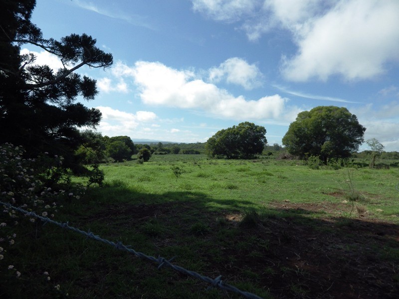 254 McAuliffes Road, Nanango QLD 4615